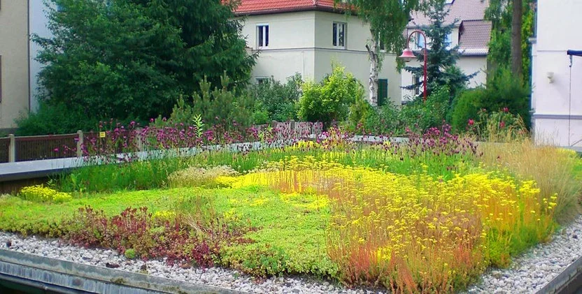 Dachbegrünung